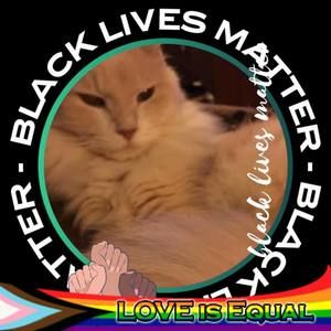 Meet your Posher, Dironah